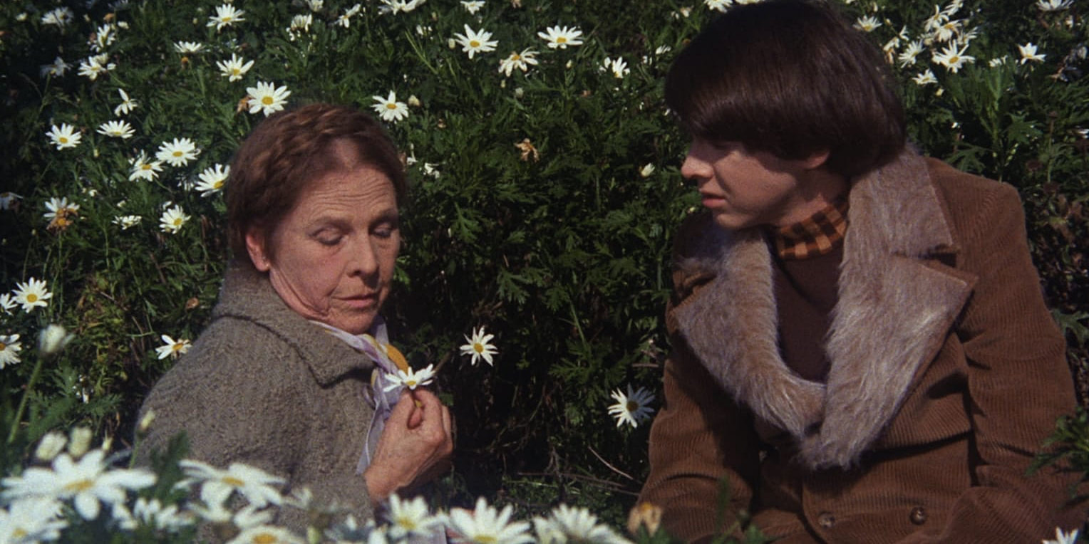 Harold and Maude (1971) 