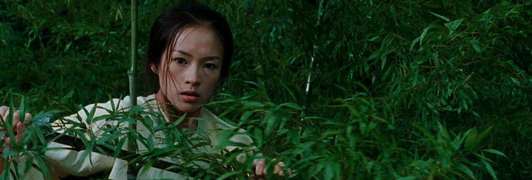 Crouching Tiger Hidden Dragon