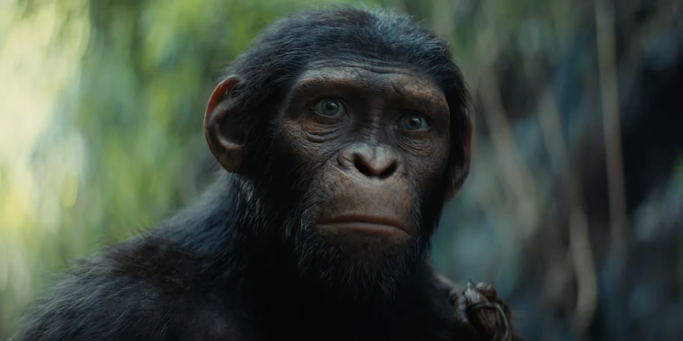Trailer "Kingdom Of The Of The Apes"