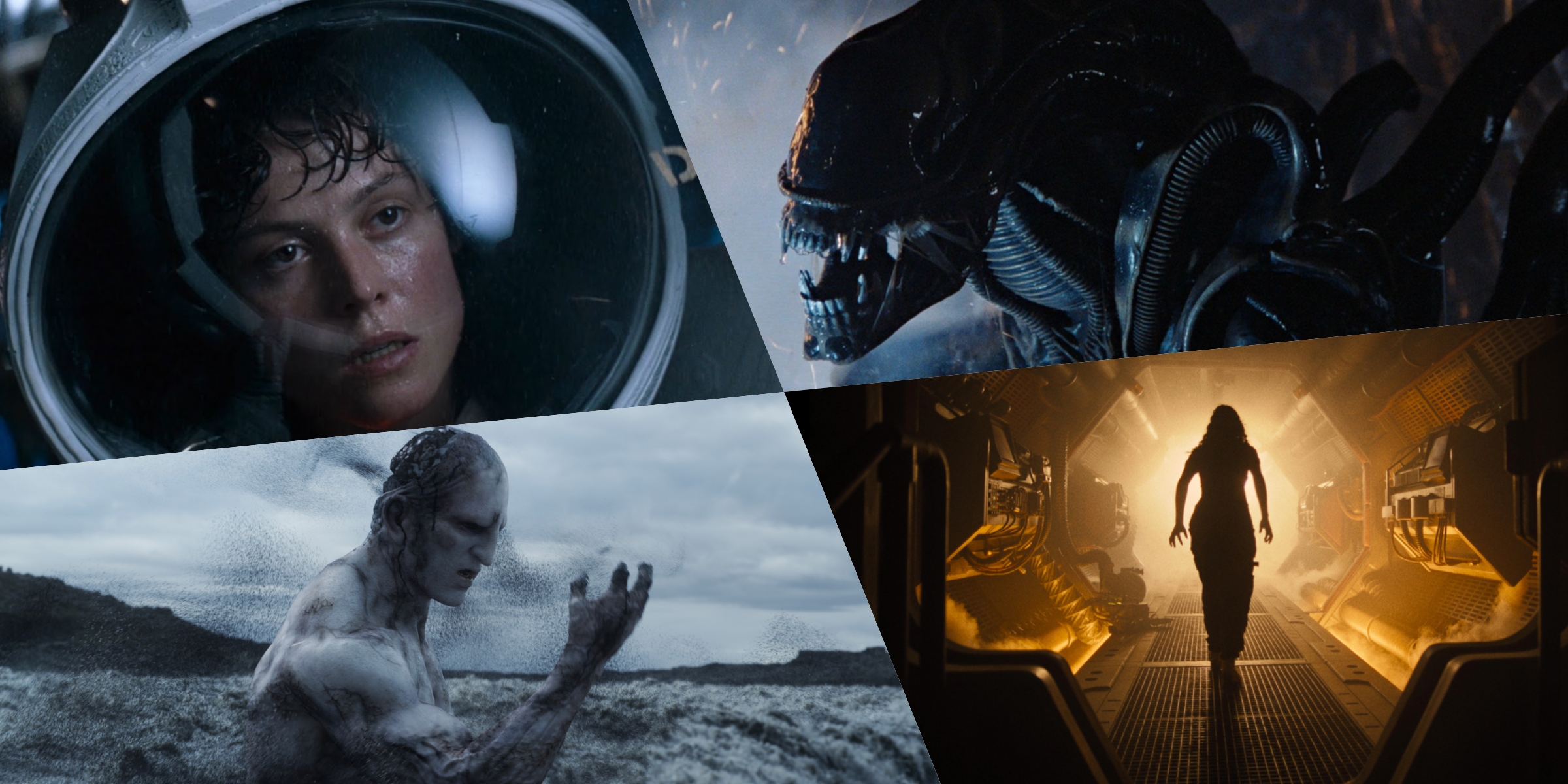 Different Types Of Aliens From The Alien Franchise